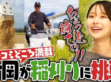 【稲刈りVlog】来年田んぼ買います宣言⁉︎片岡篤史が実家の稲刈りに挑戦してみた‼︎【片岡米】
