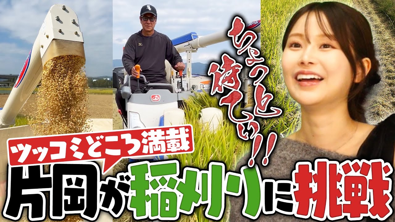 【稲刈りVlog】来年田んぼ買います宣言⁉︎片岡篤史が実家の稲刈りに挑戦してみた‼︎【片岡米】