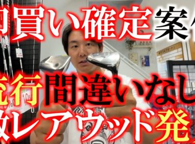 日本で１本しか存在しないレアクラブがなぜここに！？　この値段で発見したら絶対買うべき１本　これから流行するのは確定　早く手に入れておきたい魔法の杖　＃９番ウッド　＃１１番ウッド　＃能代ゴルフガーデン