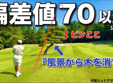 この男の考え方は天才だと思います。邪魔な木を消して打つショットをご覧ください。