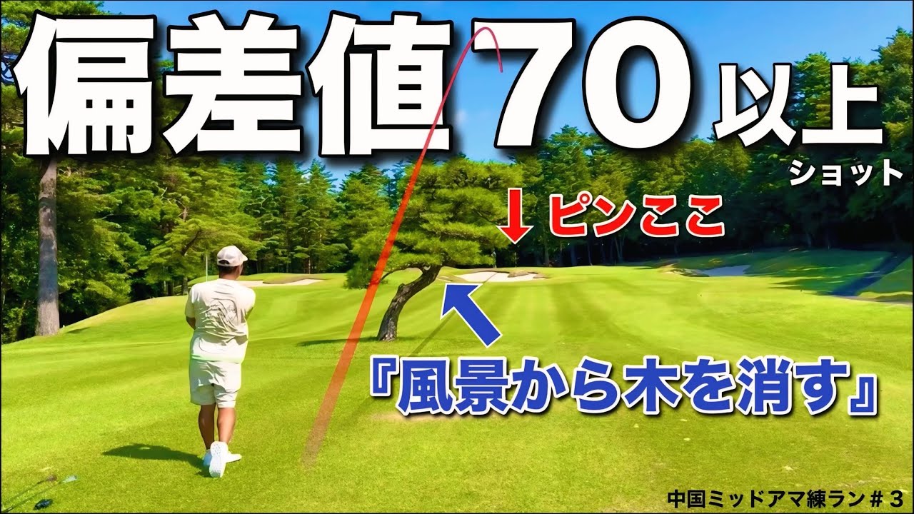この男の考え方は天才だと思います。邪魔な木を消して打つショットをご覧ください。