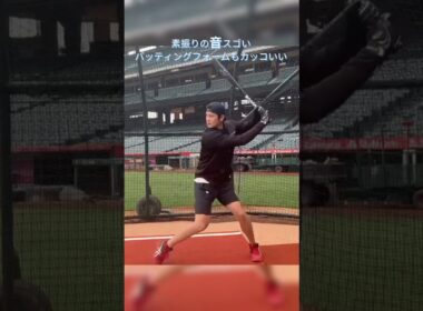 風を切る大谷翔平のバッティングフォーム #shorts #大谷翔平 #mlb