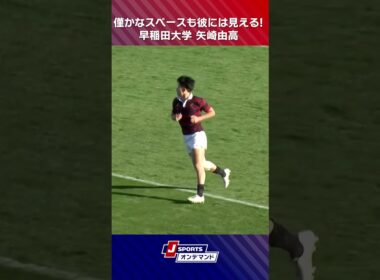 【まさに異次元】早稲田大矢崎由高選手が圧巻のラインブレイク！ #大学ラグビー #ラグビー #c_rugby #shorts
