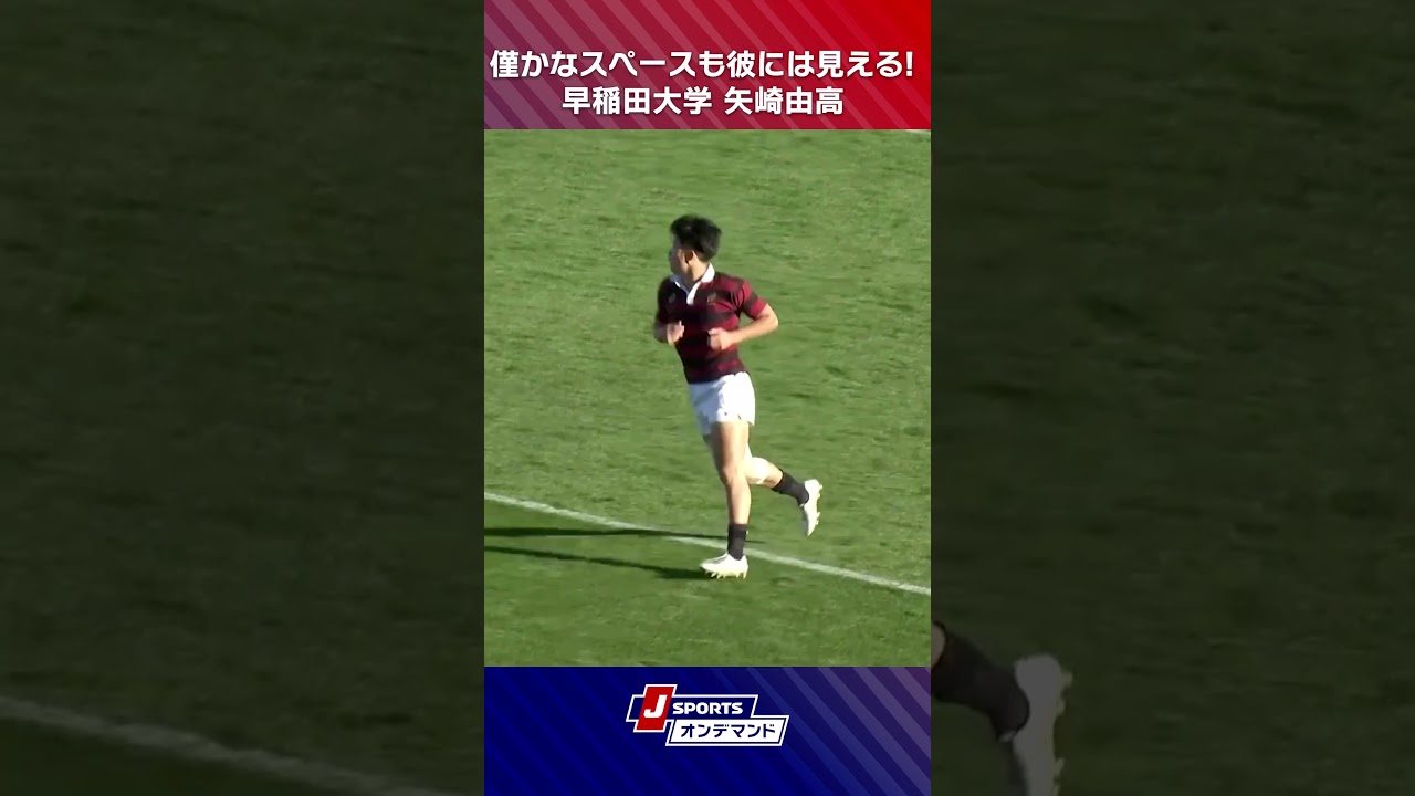 【まさに異次元】早稲田大矢崎由高選手が圧巻のラインブレイク！ #大学ラグビー #ラグビー #c_rugby #shorts