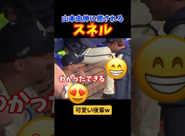山本由伸は後輩力が凄そうですねww