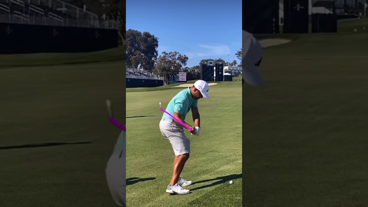 ザンダー・シャウフェレ ゴルフスイング #ゴルフ #golf #ゴルフスイング #golfswing