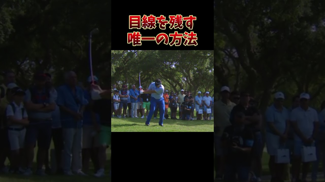 #プレセデゴルフアカデミー #西宮#ゴルフ #ゴルフスイング