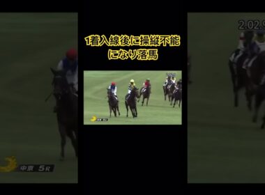 新馬戦1着入線で嬉しいはずがまさかの落馬！？