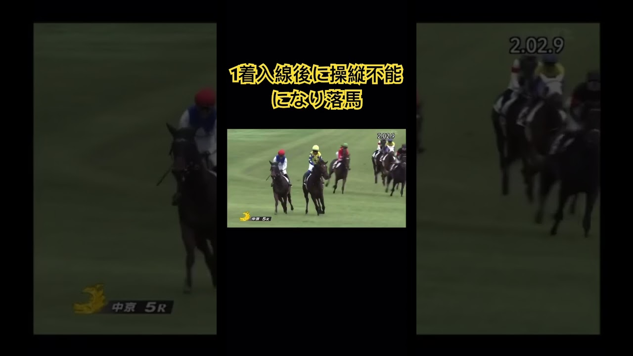 新馬戦1着入線で嬉しいはずがまさかの落馬！？