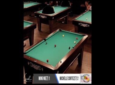 ミシェルの美しい2とポジション