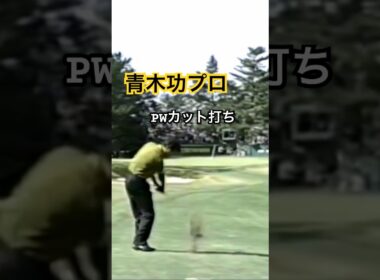 青木功プロ PWカット打ち 1991年日本オープン下関GC #ゴルフ #golf #ゴルフスイング #青木功