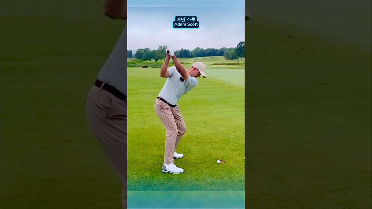 아담 스콧 👍 #golf #golfswing #golfpractice #pga #golfplayer #adamscott #골프