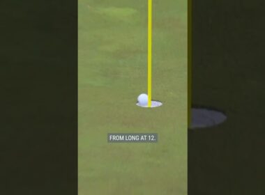 Min Woo Lee's PERFECT chip-in! 😍