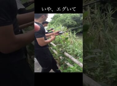 釣り人生で、こんな釣れ方初めて見た【バス釣り】 #shorts  #バス釣り