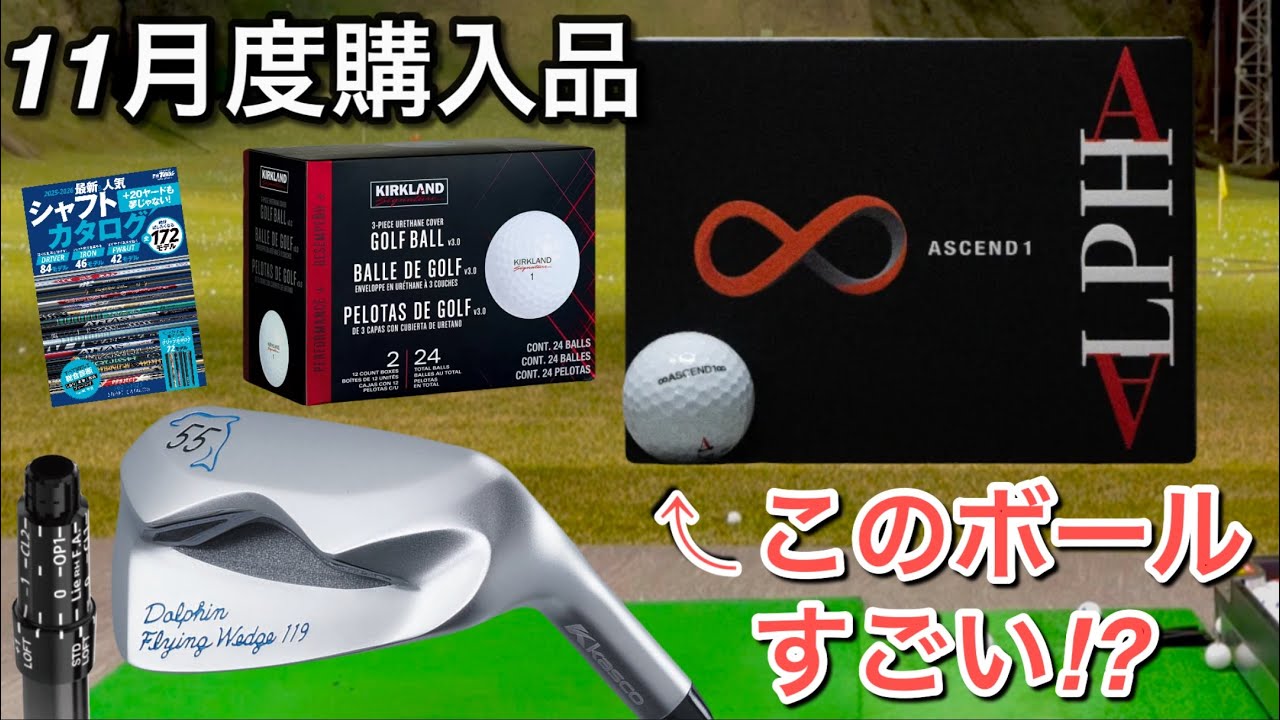 【ALPHAのスピン系購入】姜秀一プロデュースゴルフボール　11月度購入品紹介　コストコ2025ボール　ドルフィンチッパーウェッジ　ゼクシオ14+試打に向けてスリーブ買う　アマチュアに合うシャフトは？