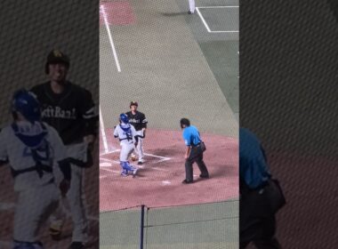 近藤フルスイング🔥歯を出して悔しがる😂交流戦🌈ナゴヤドーム2024.6.4 ソフトバンク戦　2-3負け🥲髙橋宏斗試合作るも、同点で9回ライデル打たれる😨 内野S100番台上段より #ビシエド