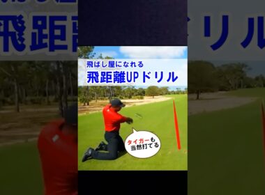 【タイガー・ウッズも当然打ててます】ドライバー平均250y飛ばない方におススメの最強ドリル！！#WGSL #ベタ足スイング #前倒し