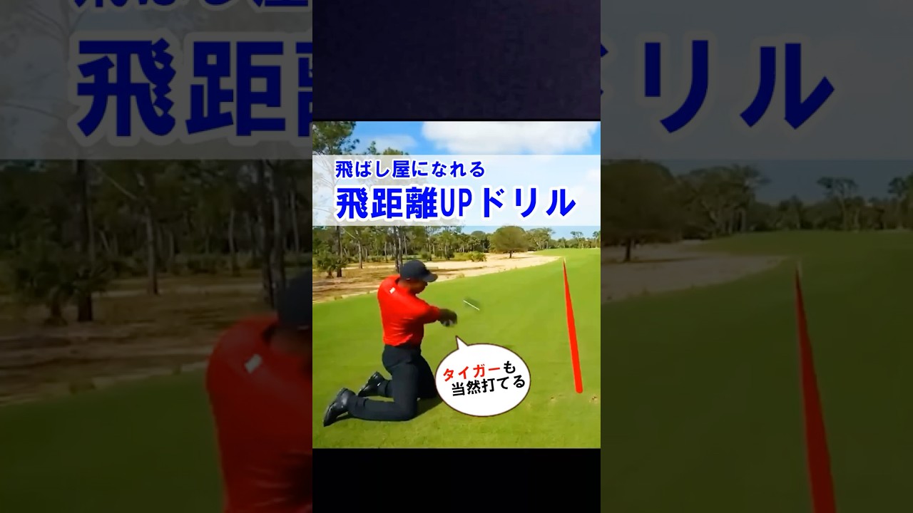 【タイガー・ウッズも当然打ててます】ドライバー平均250y飛ばない方におススメの最強ドリル！！#WGSL #ベタ足スイング #前倒し