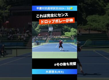 #ドロップボレーが天才【早慶戦2024/S2】木原啓太(早大) #shorts #テニス #tennis