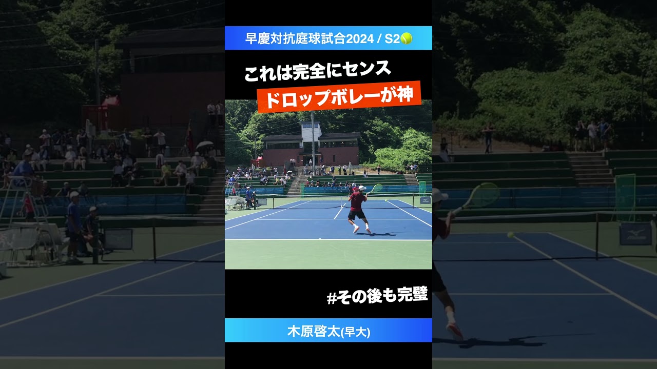 #ドロップボレーが天才【早慶戦2024/S2】木原啓太(早大) #shorts #テニス #tennis