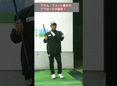 アダム・スコット選手のアプローチの秘密③（バンスを使え！）#shorts