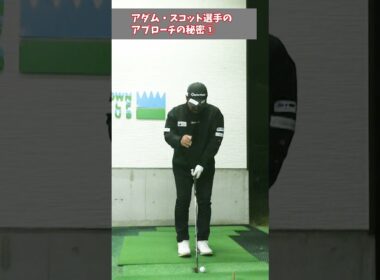 アダム・スコット選手のアプローチの秘密①（バンスを使え！）#shorts