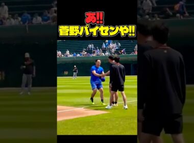 あ‼︎菅野パイセンや‼️ #大谷翔平 #mlb  #shorts  #dodgers #ドジャース #野球 #ohtani #baseball #鈴木誠也 #菅野智之