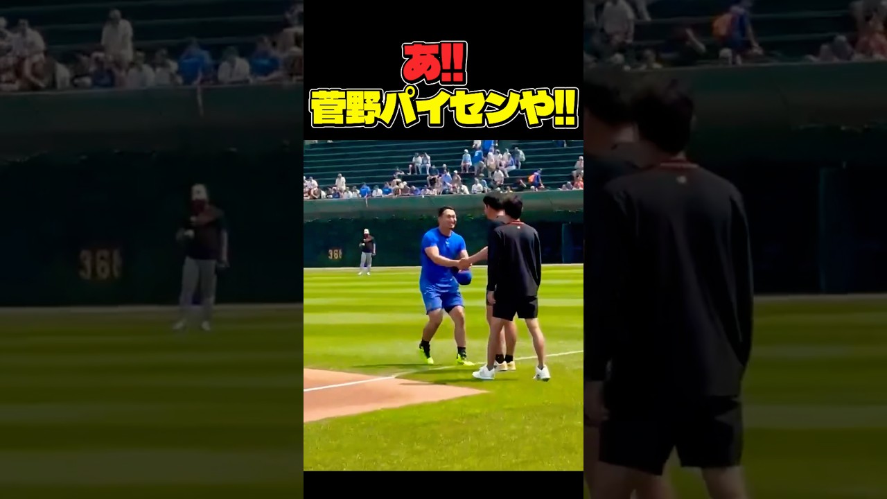 あ‼︎菅野パイセンや‼️ #大谷翔平 #mlb  #shorts  #dodgers #ドジャース #野球 #ohtani #baseball #鈴木誠也 #菅野智之