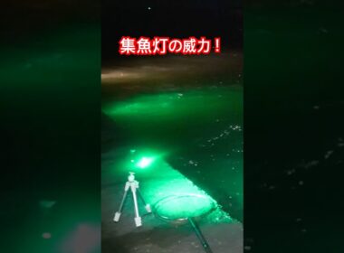 禁断の集魚灯アジング #家邊克己 #サーティフォー #スペシャライズSFR-58 #山形県鶴岡市