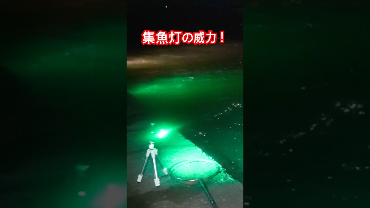 禁断の集魚灯アジング #家邊克己 #サーティフォー #スペシャライズSFR-58 #山形県鶴岡市