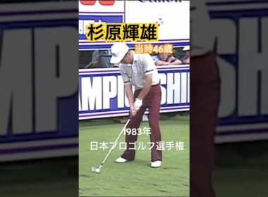 杉原輝雄プロ 当時46歳 1983年日本プロゴルフ選手権 #golf #ゴルフ #ゴルフスイング #golfswing #杉原輝雄