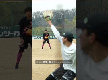 キャッチボールで分かる驚きの成長記録！？ #shorts #baseball #sports #ジャイアンツ #巨人 #プロ野球
