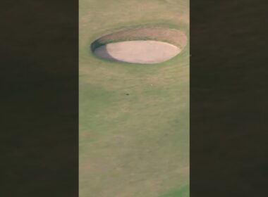 タイガー・ウッズのスティンガー😍 #ショートパンツ