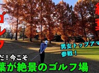 今年ラストチャンス！素晴らしい紅葉が見ごろなゴルフ場をご紹介します。（＠都賀カンツリー倶楽部）2連覇チャンプと大学ゴルフ部のトップアマを交えたチーム戦！第2話