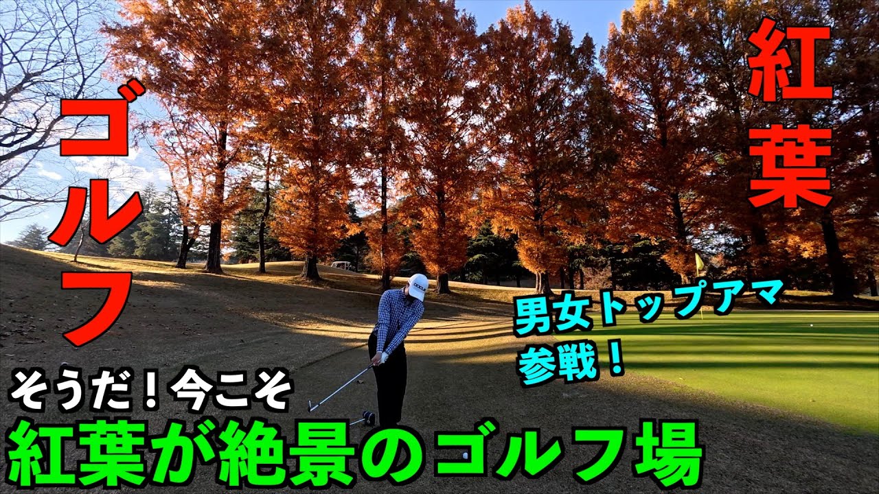 今年ラストチャンス！素晴らしい紅葉が見ごろなゴルフ場をご紹介します。（＠都賀カンツリー倶楽部）2連覇チャンプと大学ゴルフ部のトップアマを交えたチーム戦！第2話