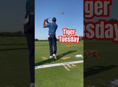 Checking in on Tiger Woods' swing 👀 (🎥 IG/tgrliveevents)