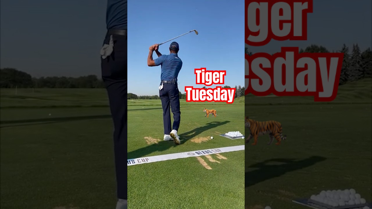 Checking in on Tiger Woods' swing 👀 (🎥 IG/tgrliveevents)