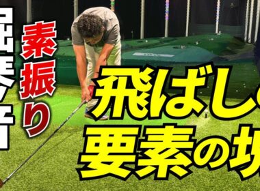 【話題の堀琴音プロ素振り】実は飛ぶ要素の塊だった！