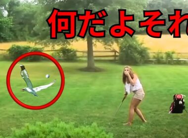 カメラに捉えられた史上最も間抜けなゴルフの瞬間