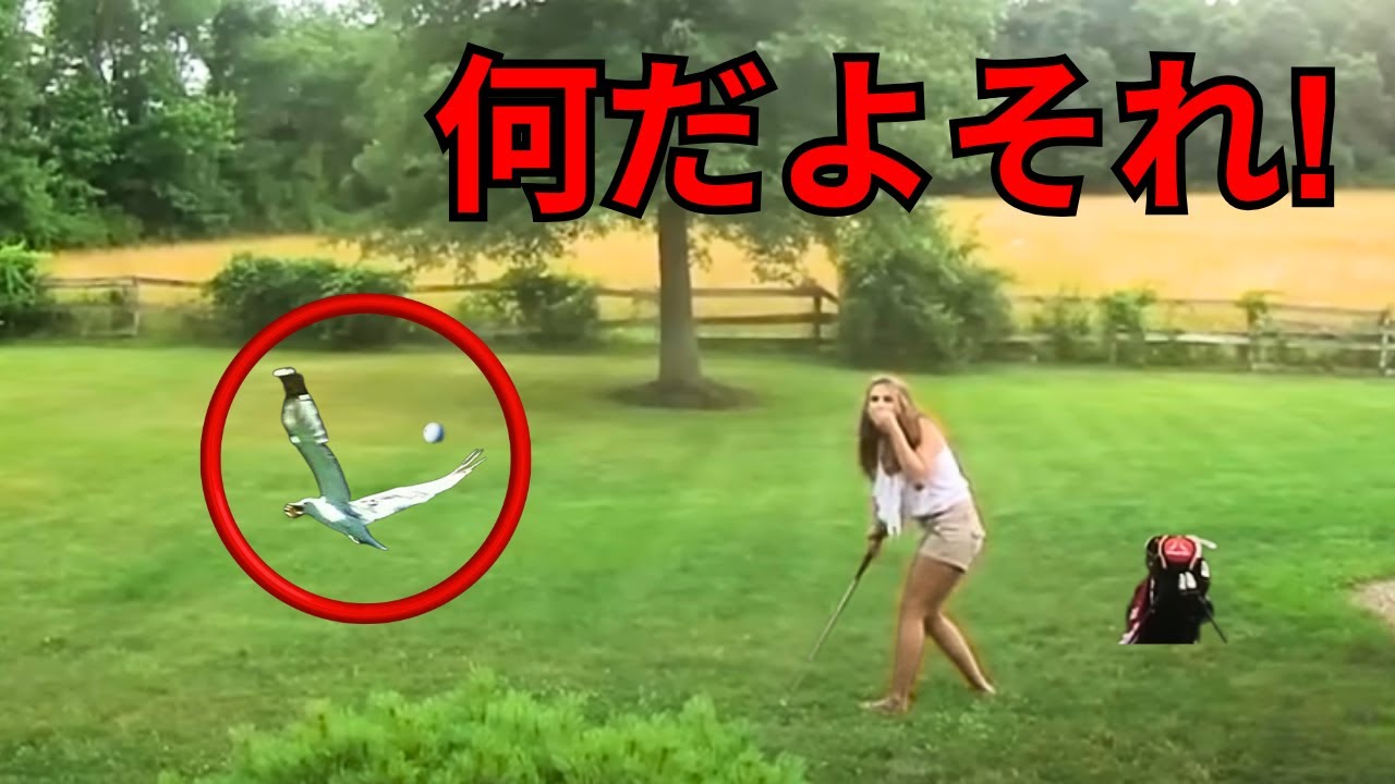 カメラに捉えられた史上最も間抜けなゴルフの瞬間