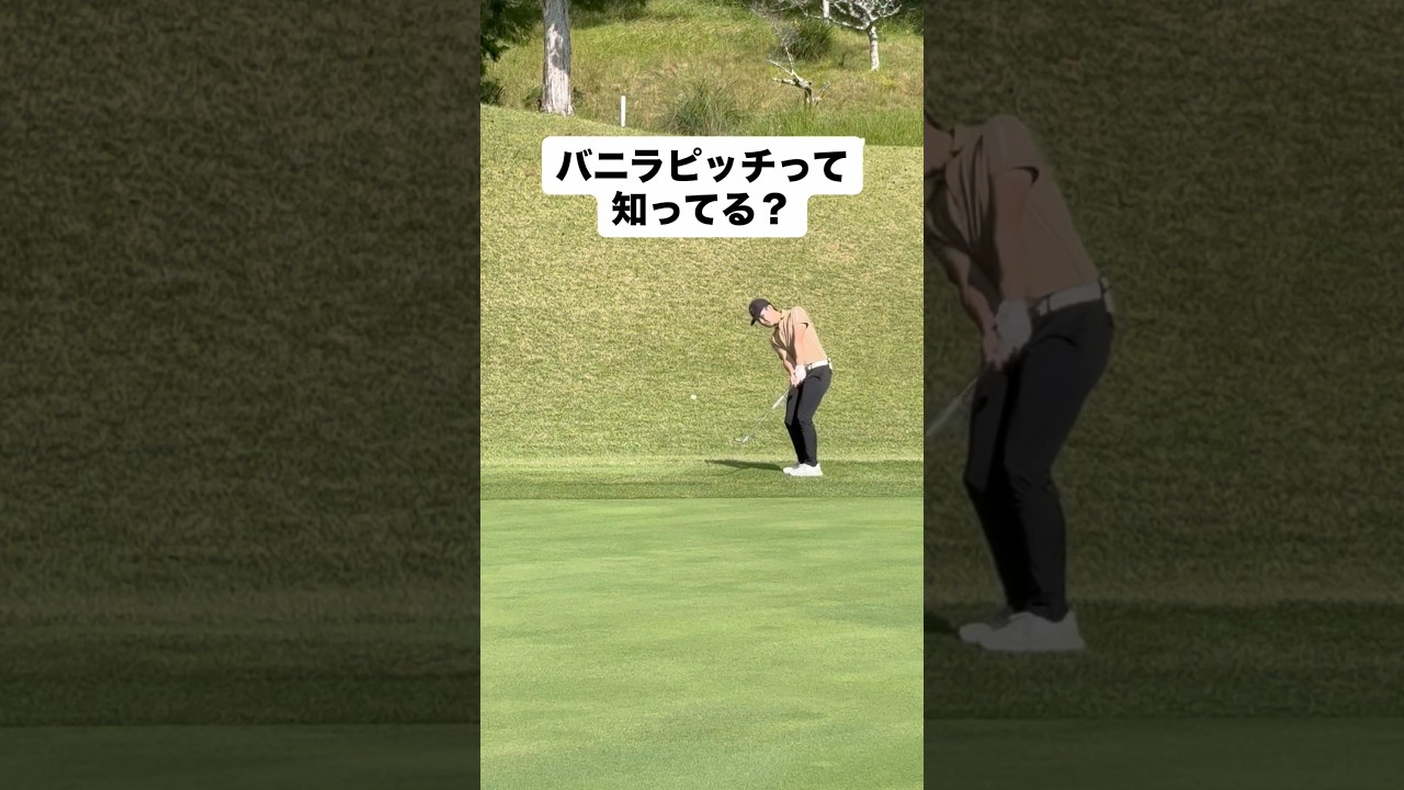 巷で話題のバニラピッチ　#ゴルフ #ゴルフレッスン #ゴルフスイング #golf #shorts