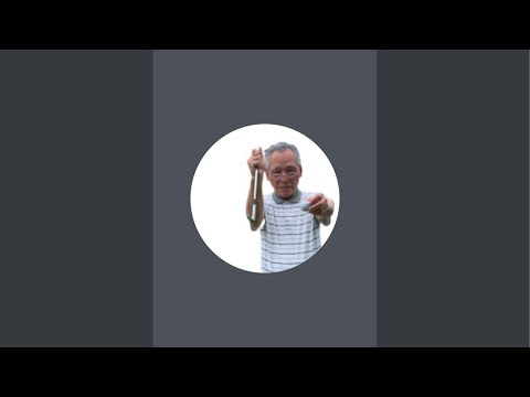 ゴルフパッテイング、良く入る、非常に素晴らしい理にかなった方法