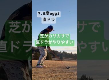 冬芝は直ドラがやりやすい✨ #golf #ゴルフ #golfswing #ゴルフスイング #直ドラ #パーシモンhage #笠間桜カントリー倶楽部