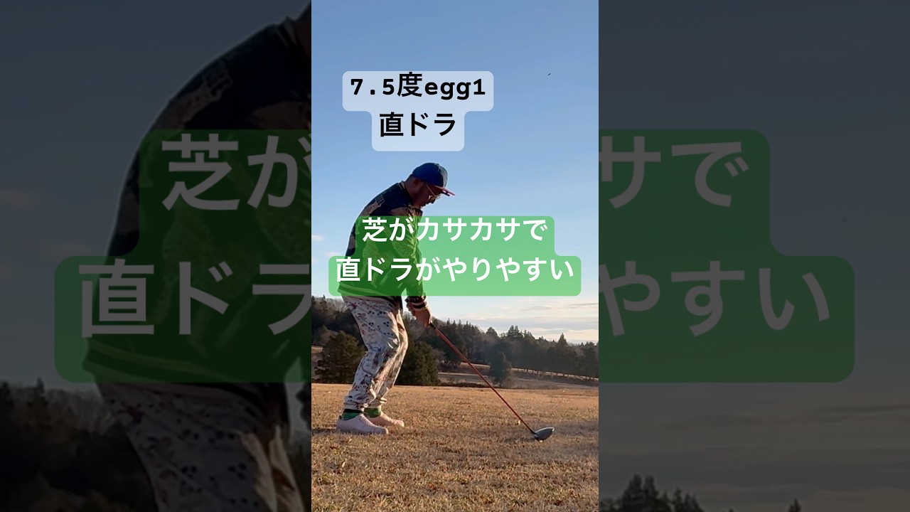 冬芝は直ドラがやりやすい✨ #golf #ゴルフ #golfswing #ゴルフスイング #直ドラ #パーシモンhage #笠間桜カントリー倶楽部
