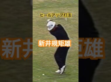 ヒールアップ打法 新井規矩雄プロ #golf #ゴルフ #golfswing #ゴルフスイング #新井規矩雄