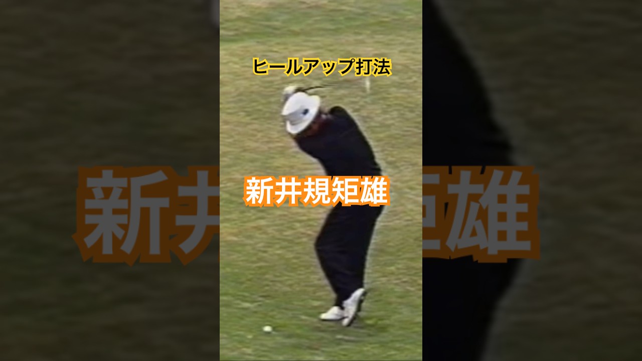 ヒールアップ打法 新井規矩雄プロ #golf #ゴルフ #golfswing #ゴルフスイング #新井規矩雄