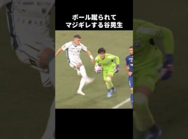 ボール蹴られてキレる谷晃生 #shorts #町田ゼルビア #jリーグ #サッカー