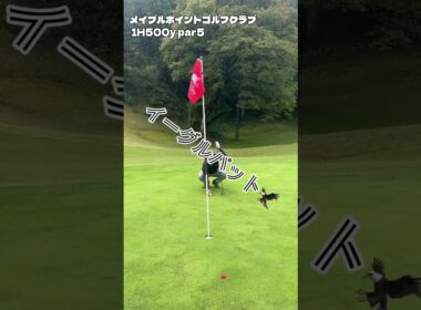 バーディーなるか？！桑名国際ゴルフ倶楽部5番ホール#ゴルフ #golf #ドライバー #アイアン #パター