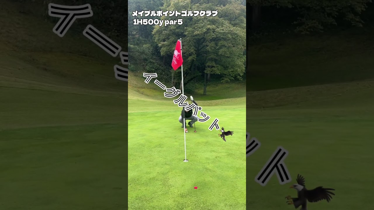 バーディーなるか？！桑名国際ゴルフ倶楽部5番ホール#ゴルフ #golf #ドライバー #アイアン #パター