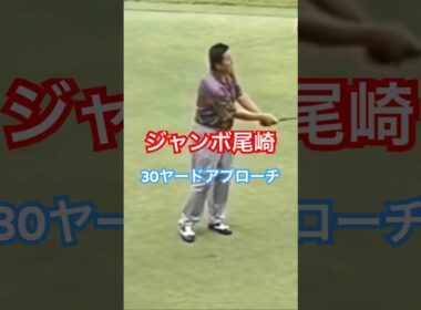 ジャンボ尾崎プロ　30ヤードアプローチ #ゴルフ #golf #ゴルフスイング #golfswing #ジャンボ尾崎